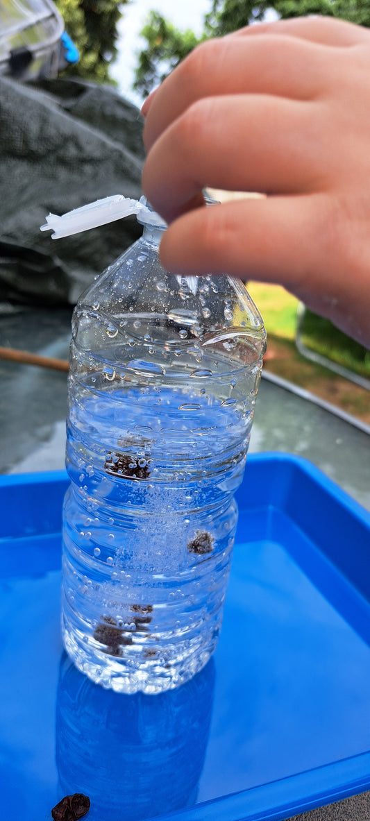 Dancing Raisins Science Experiment