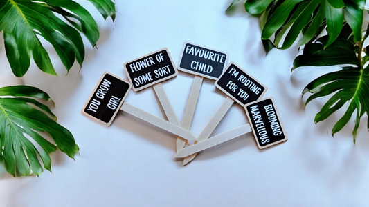 Funny Wooden plant markers